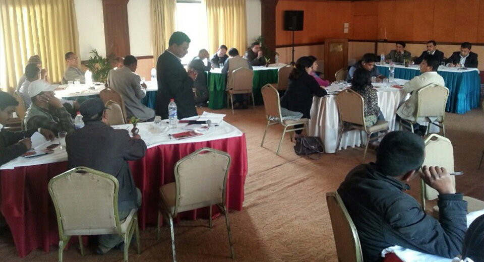 Constitution and Economic Aspirations in Biratnagar