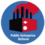 Public Enterprise Reform