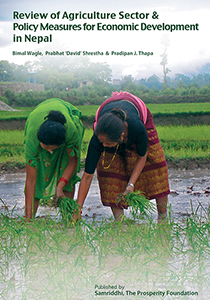 Review of Agriculture Sector & Policy Measures for Economic Develpoment in Nepal